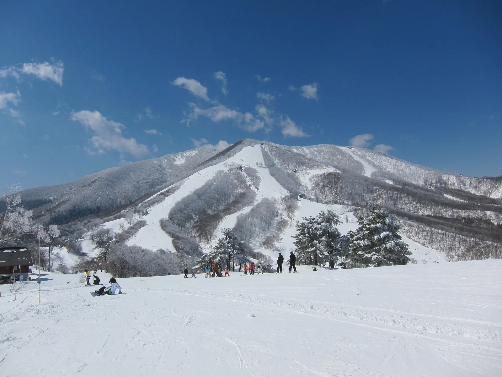 Snow-covered pistes at Madarao Kogen in winter