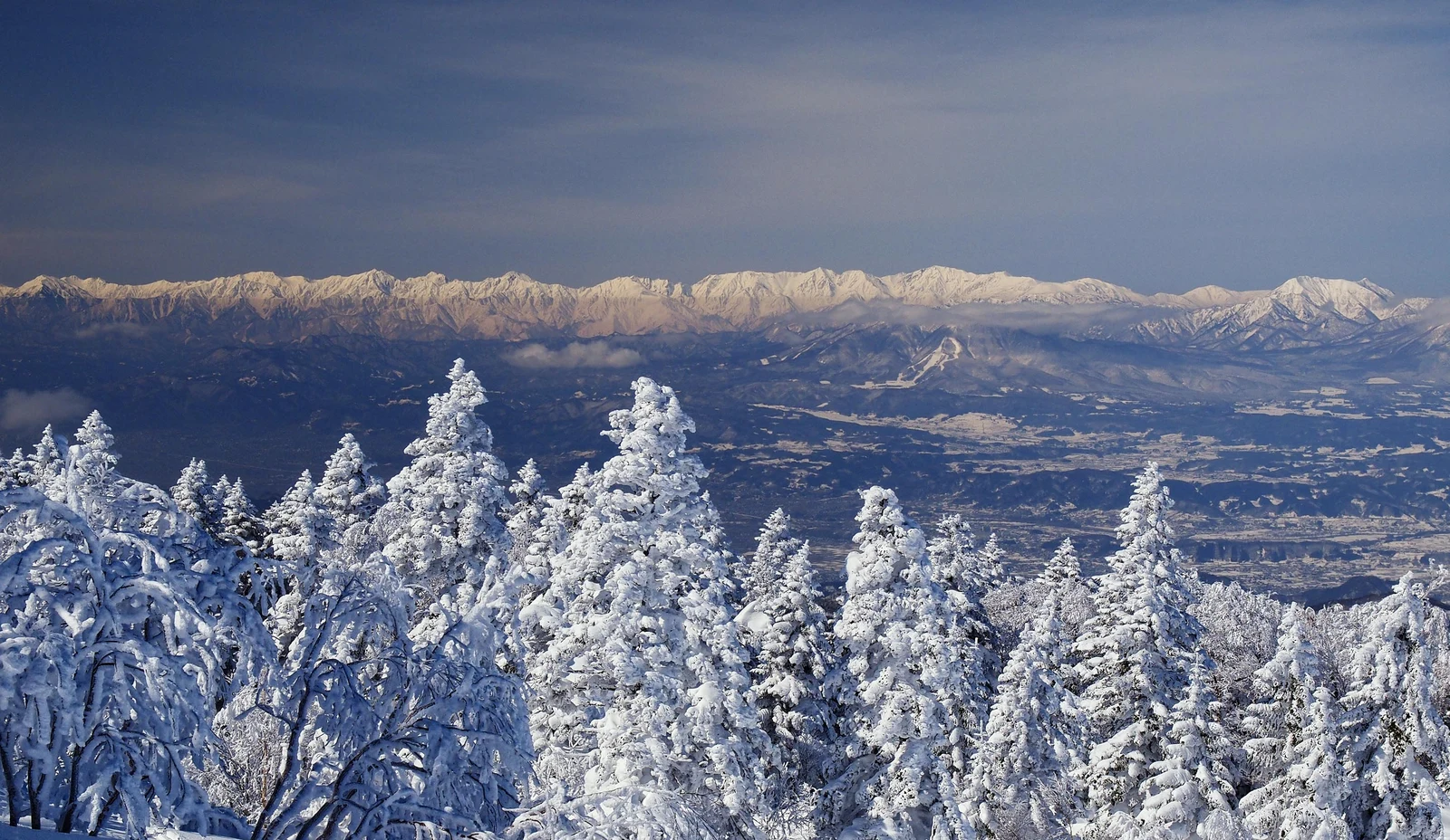 Snow-covered trees and the Northern Japanese Alps viewed from Terakoya in Shiga Kogen